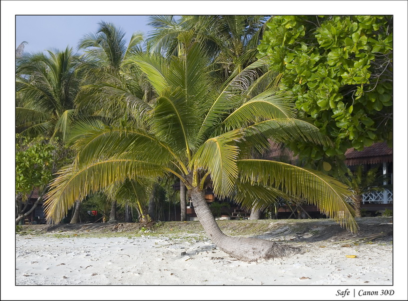 2008 - 07 - Leng Tengah - 012